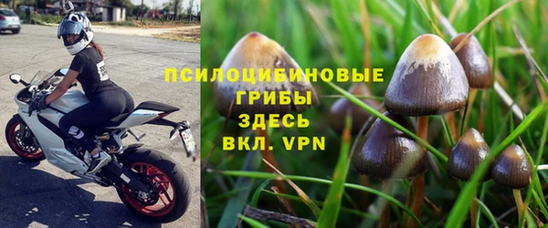 мдма Краснослободск