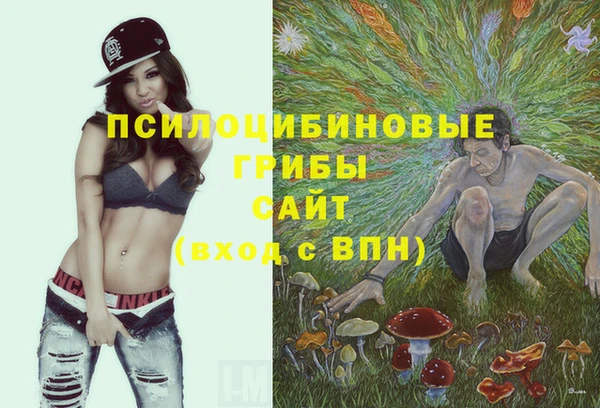 мдма Краснослободск