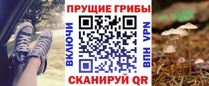 Купить где  Одинцово  Галлюциногенные грибы мицелий 